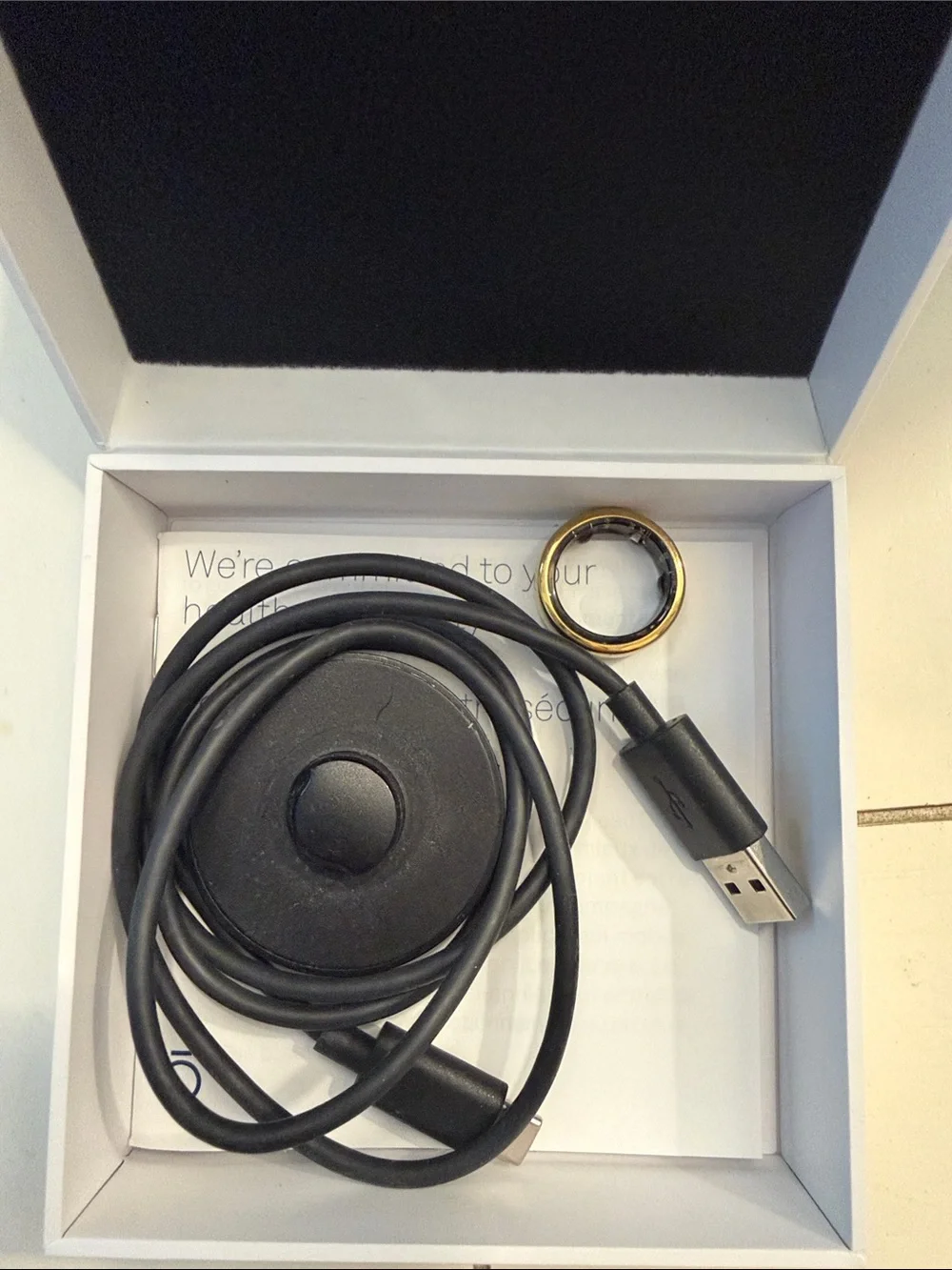 Oura Gen3 Horizon Ring — Gold Finish